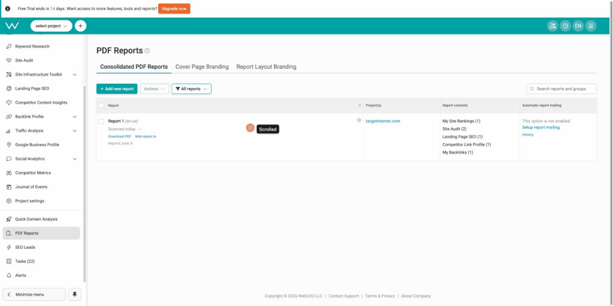 WebCEO - Report Builder