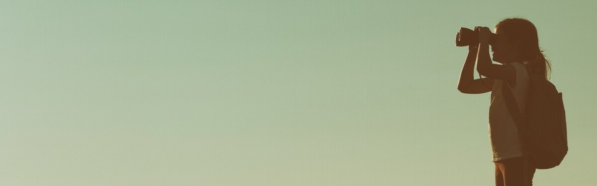 Neal Schaffer on The Age of Influence